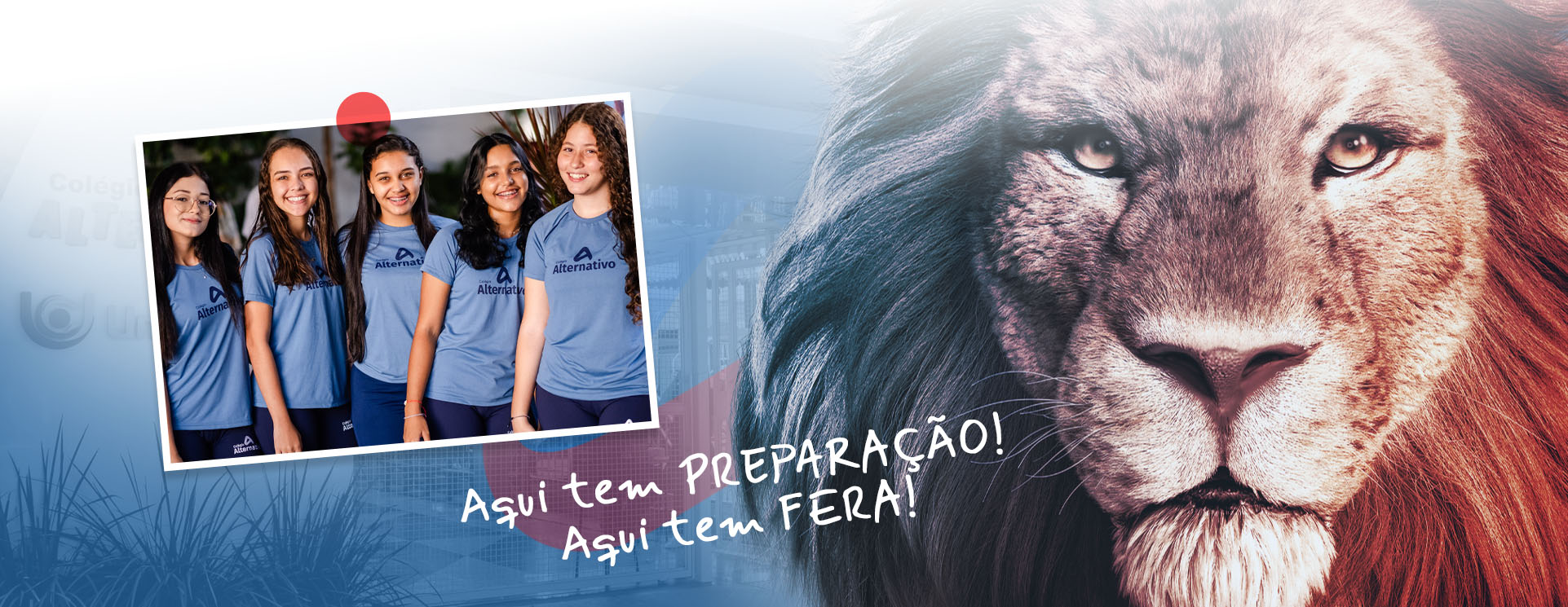 Aqui tem preparação